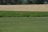 IMG 0709